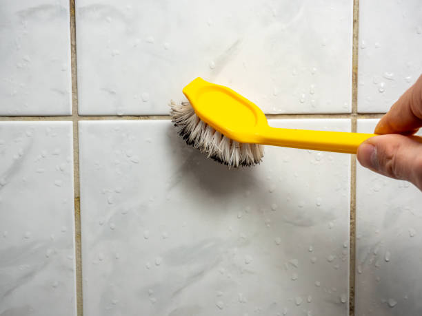 Best Mold Remediation Experts  in Elk Rapids, MI