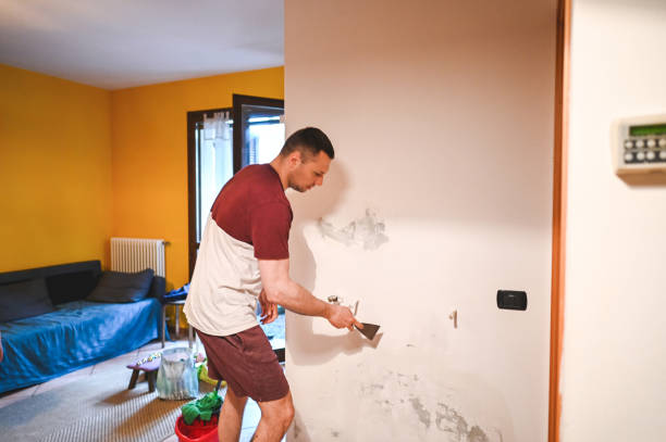 Best Attic Mold Removal  in Elk Rapids, MI